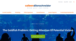 Desktop Screenshot of colleendilen.com